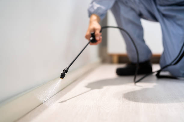 Bed Bug Pre-Treatment Preparation Assessment in Colfax