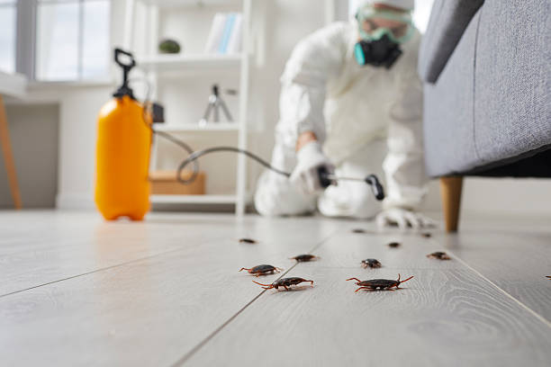 Post-Treatment Bed Bug Interceptor Monitoring in Colfax