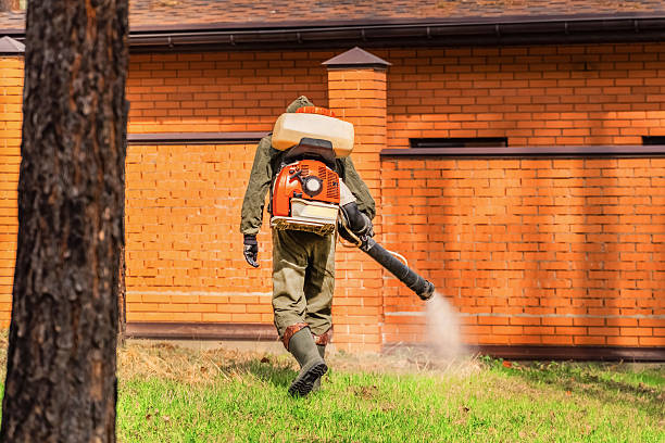 Bed Bug Clearance Verification and Documentation in Colfax